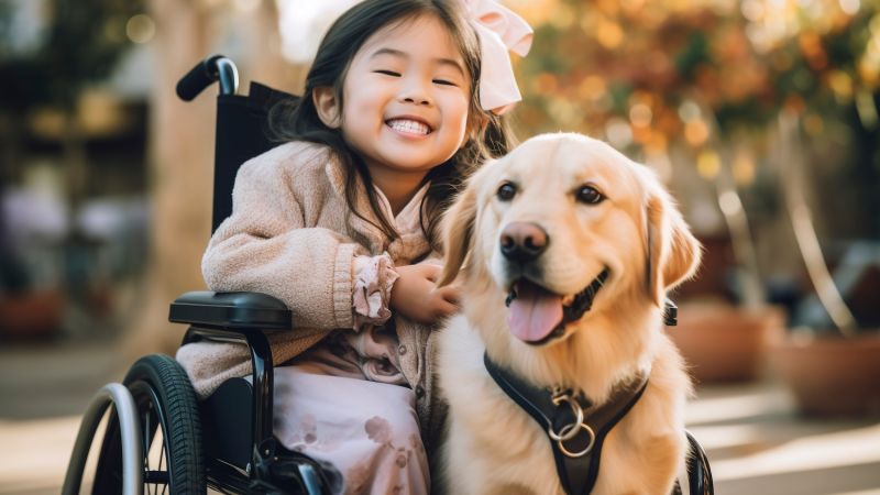 Smiling girl in wheelchair with a happy golden retriever, outdoors in an autumn setting.