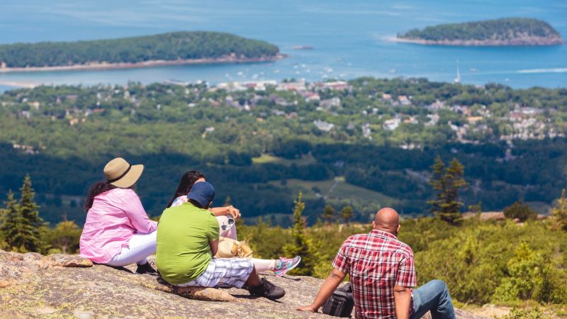 People enjoying scenic ocean views from a hilltop vantage point amidst lush greenery and clear skies.