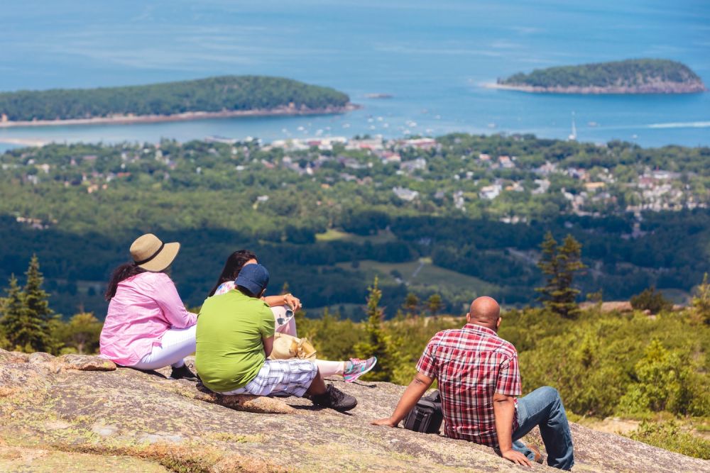 People enjoying scenic ocean views from a hilltop vantage point amidst lush greenery and clear skies.